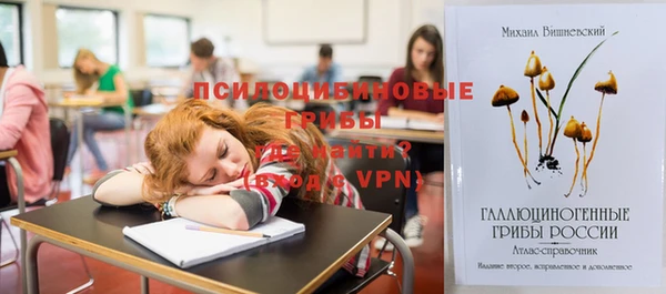молекула духа Елабуга