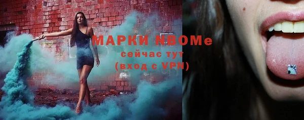 молекула духа Елабуга