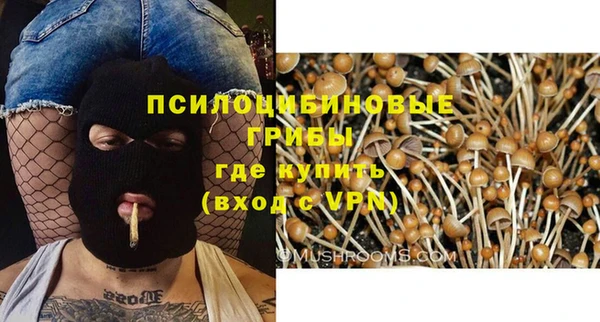 амфетамин Ельня