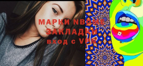 молекула духа Елабуга