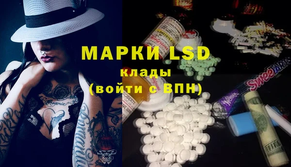 молекула духа Елабуга
