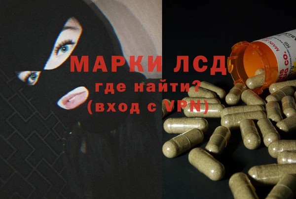 молекула духа Елабуга