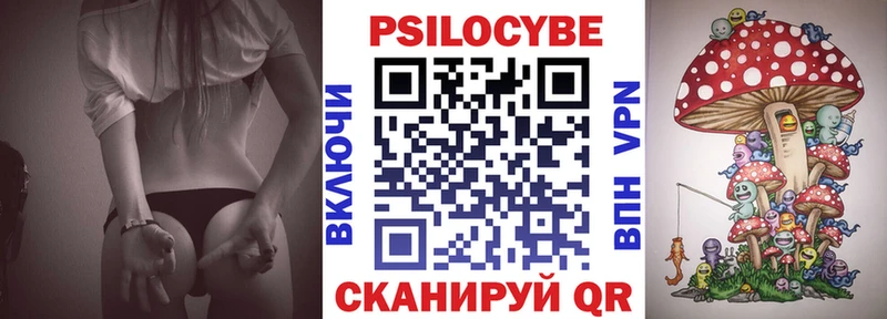 Псилоцибиновые грибы Psilocybe  где купить   Обнинск 