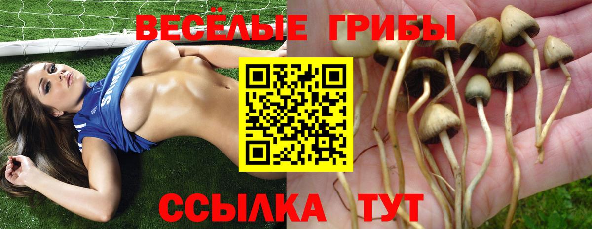 Галлюциногенные грибы мицелий  Вход с VPN  Обнинск  Псилоцибиновые грибы Magic Shrooms 